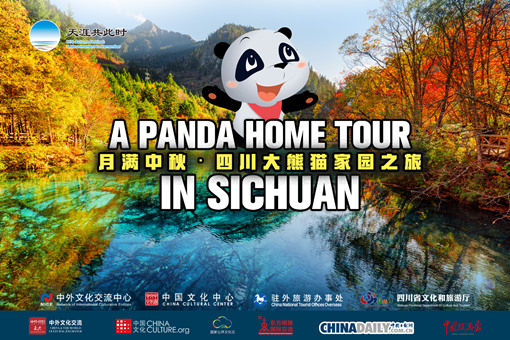 Micro Document: A Panda Home Tour