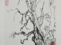                                   Qiannian Yinxingshu   Mingliang Ji Millennium Ginkgo Tree       