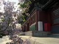 Denis Niedringhaus Daoist temple Yonghe P  kin 2.1