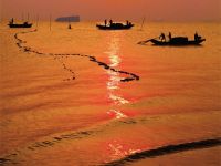                               morning fishing     jiujiang city