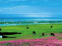                         spring     poyang lake       